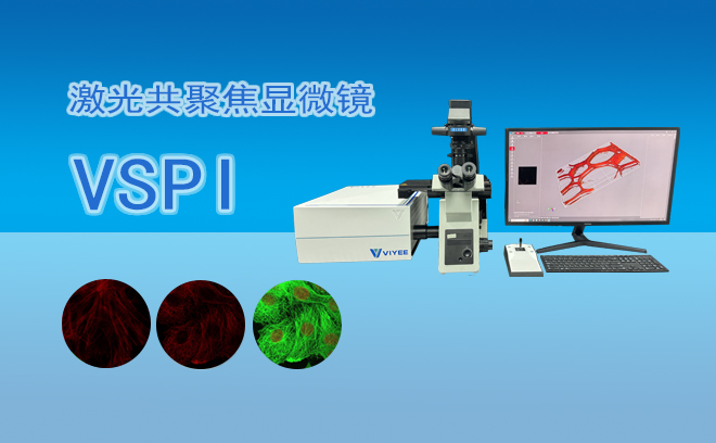 激光共聚焦显微镜VSPI